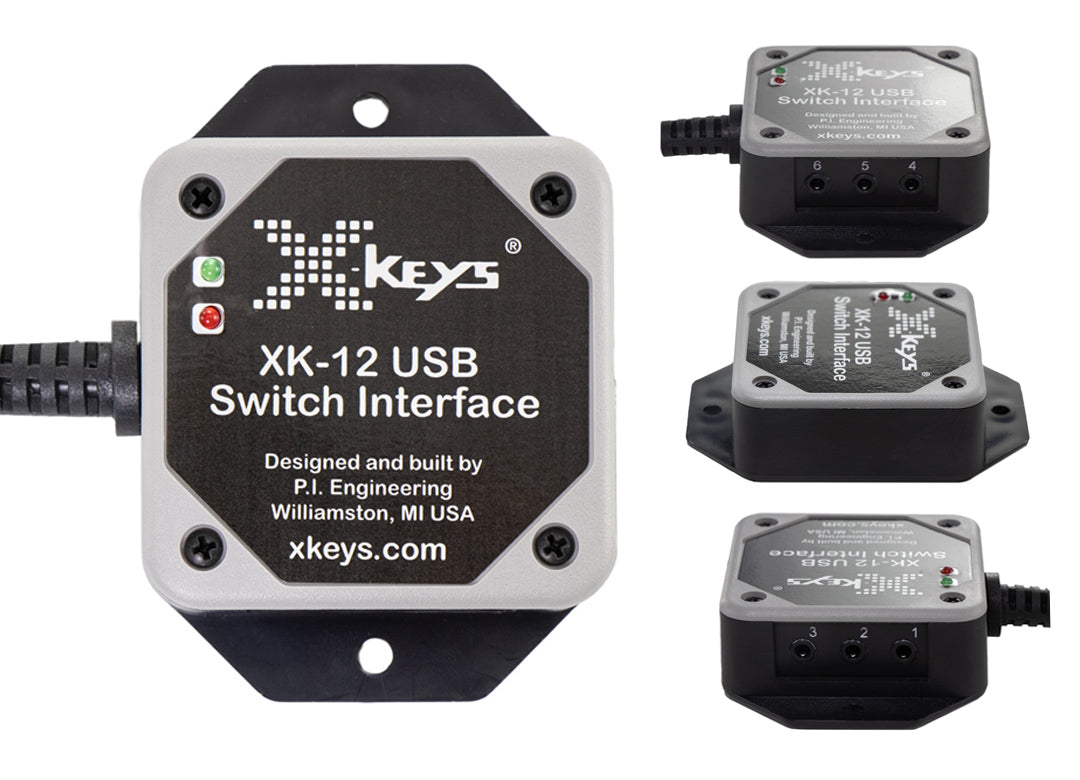 USB 12 KVM Switch Interface