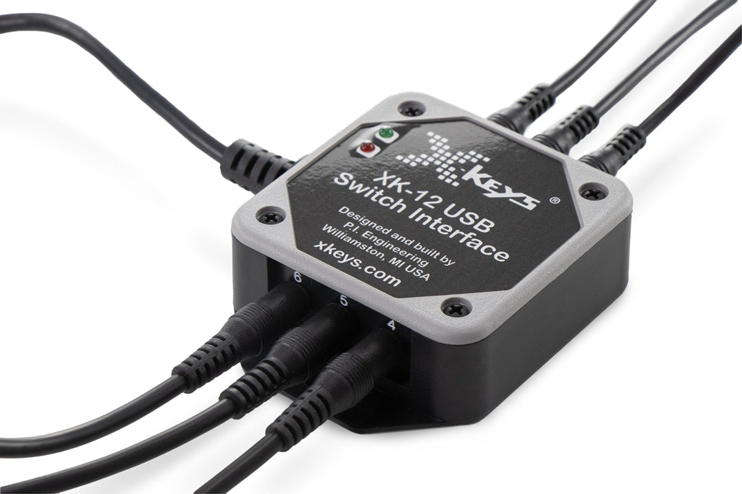 USB 12 KVM Switch Interface
