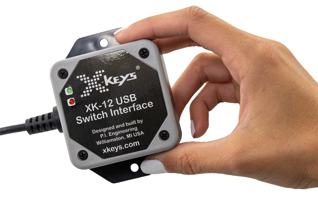 USB 12 KVM Switch Interface
